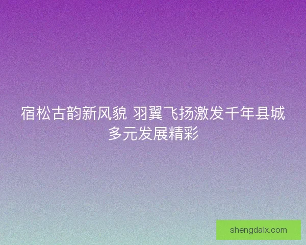 宿松古韵新风貌 羽翼飞扬激发千年县城多元发展精彩