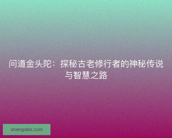 问道金头陀：探秘古老修行者的神秘传说与智慧之路