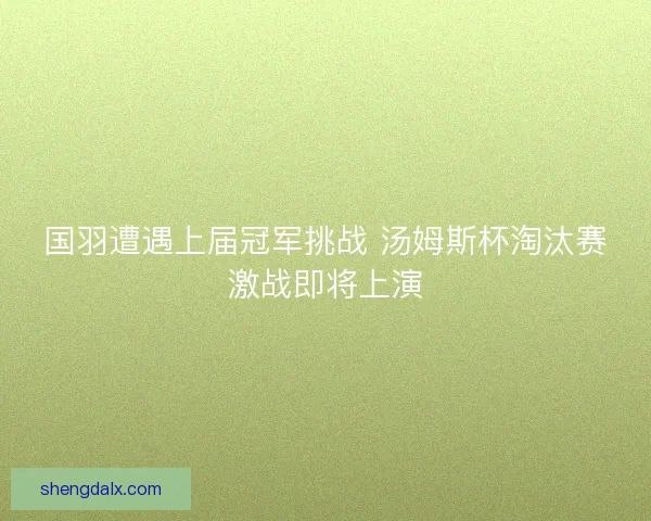 国羽遭遇上届冠军挑战 汤姆斯杯淘汰赛激战即将上演