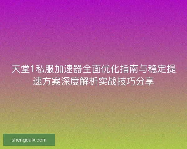天堂1私服加速器全面优化指南与稳定提速方案深度解析实战技巧分享