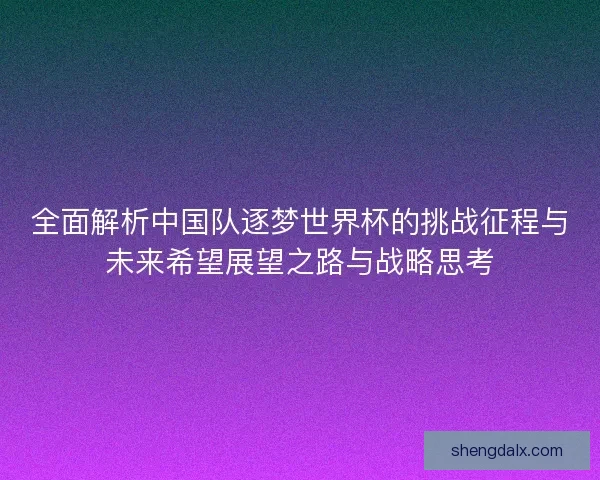 全面解析中国队逐梦世界杯的挑战征程与未来希望展望之路与战略思考